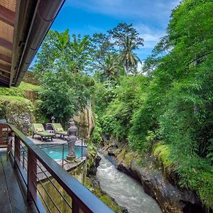 Lumina Wellness Retreat